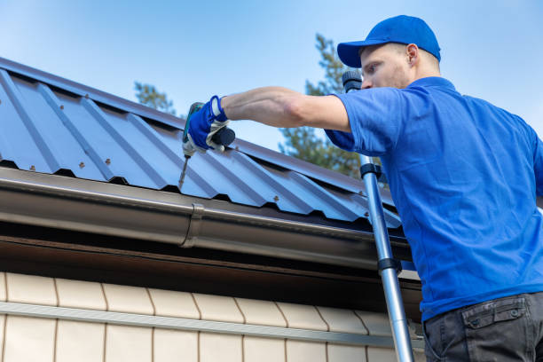 Best Roof Maintenance and Cleaning  in Papillion, NE